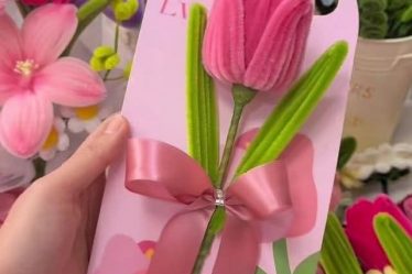 Haste de chenille - hastes de chenille - limpador de cachimbos